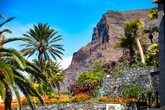 Palm Trees Dramatic Canyons Valle Gran Rey Village La Gomera Canary Islands