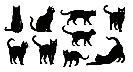 Domestic cat silhouette set in different active poses © MstRahela