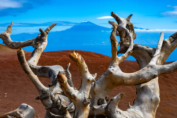 Fototapeta premium Weathered Wood Red Plateau Agulo La Gomera Mount Teide Tenerife Background