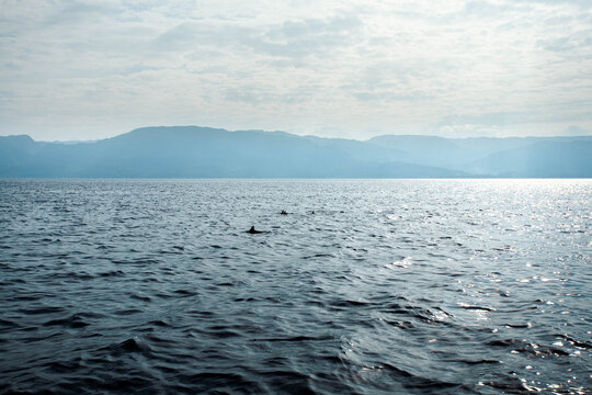View of shimmering water reflecting the diffused sunlight, with distant mountains fading into the horizon, Bais, Negros Oriental, Philippines.