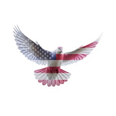 Obraz premium American Flag Patterned Dove Spreading Wings on White Background