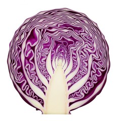Obraz premium Sectioned Red Cabbage Displaying Striated Layers and Textured