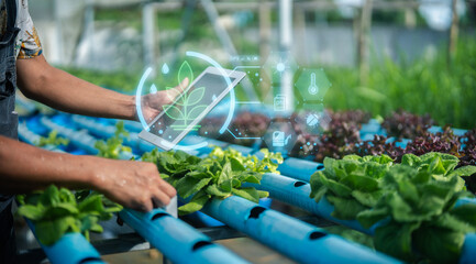 A person tending to leafy greens in a hydroponic garden, with digital icons symbolizing plant...