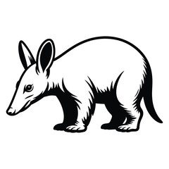 Fototapeta premium aardvark