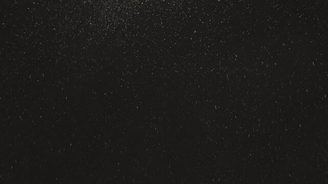 Street light illuminating falling snow during snowstorm at night. Realistic falling snow effect against a dark night sky, ideal for compositing winter scenes, creating a serene and magical atmosphere.