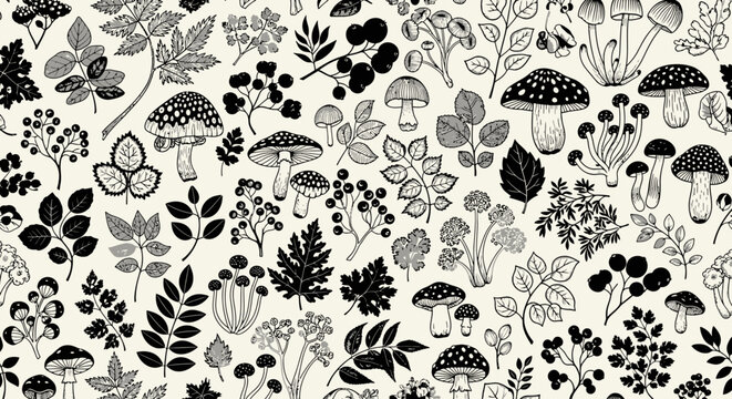 Black and white illustration of various mushrooms and plants.