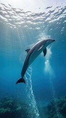 Naklejka premium Graceful Dolphin Leaping Through Sunlit Underwater Ocean Paradise.