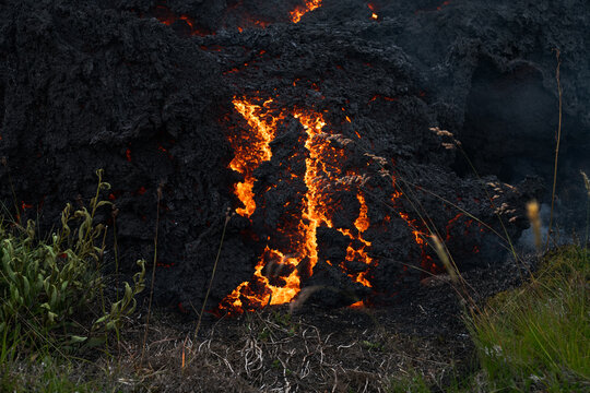 View of molten lava flowing like a fiery river down a dark, rugged slope, contrasting against the green vegetation, a powerful display of nature's force, Grindavik, Iceland.