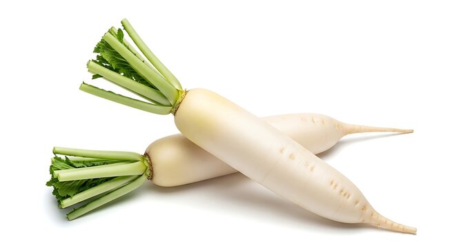 Crisp organic daikon radishes featuring smooth white skin and bright green stalks displayed against a clean studio backdrop.