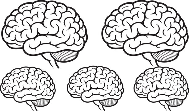 Brain in black and white brain black and white simple brain shapes brain symbols