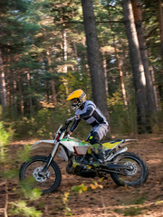 Naklejka premium Man enduro rider driving motorcycle through forest. Motocross racer competing in trail race. High speed action of extreme motorcycle sport, outdoor adventure and wilderness activity.