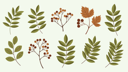 Naklejka premium Beautiful collection of autumn foliage and berries is displayed in a flat design style, featuring various leaf shapes in earthy tones.