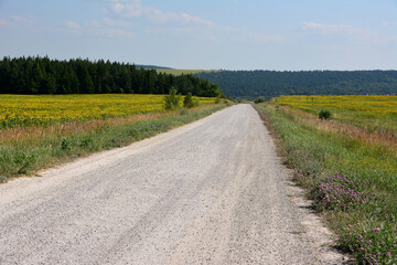 Obraz premium Long Dirt Road Through Yellow Flower Fields in Rural Landscape