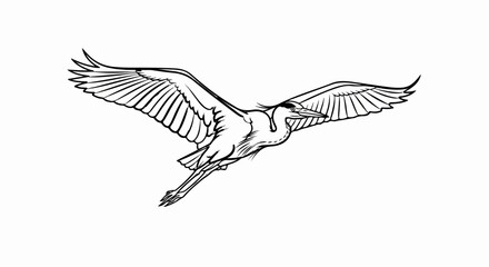 Obraz premium Line art illustration of a heron bird in flight