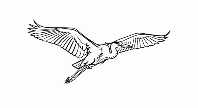 Line art illustration of a heron bird in flight