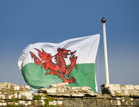 Welsh Flag Waving in Wind with Red Dragon Symbol over Green and White Background, Wales, UK