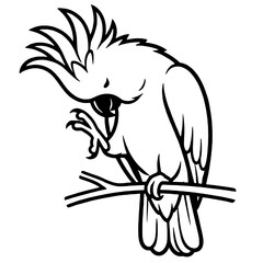 Beautiful macaw bird silhouette © Breck