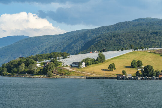 View of a serene fjord framed by verdant hills, with geometric patterns of farmland and a quaint village nestled along the shore, Sognefjord, Vestland, Norway.