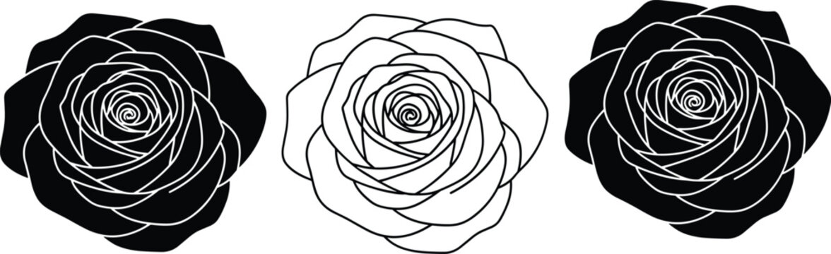 Elegant black and white rose vector set featuring detailed floral line art, dark silhouettes, and blossom outlines for wedding invitations, tattoos, and botanical garden designs.