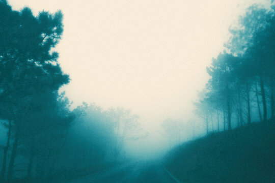 misty morning mist