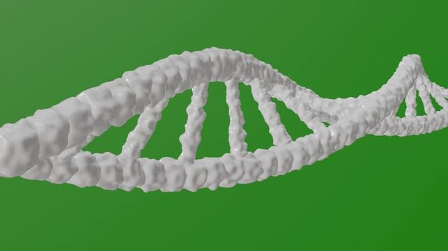 DNA 3D Model Animation on Green Screen for Science and Medical Visuals
