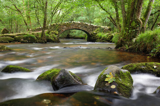 Traditional Stone Packhorse Bridge over a river in a rural landscape on a  summer day, Dartmoor National Park, Devon, England, UK