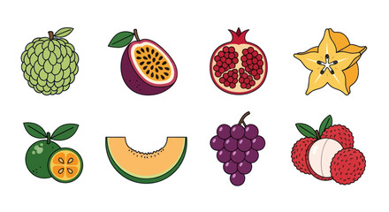 Assortment of fresh tropical fruits illustration