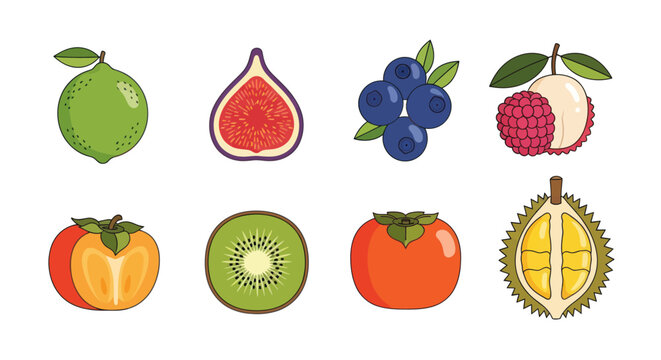 Assortment of fresh fruits vector illustration
