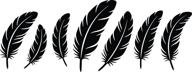Collection of seven black feather silhouettes arranged in a horizontal line, showcasing diverse shapes, sizes, and symmetry for design, illustration, and educational use © creativeDesigner2023