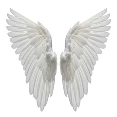 Obraz premium Pair of large white feathered angel wings spread wide isolated on a transparent background