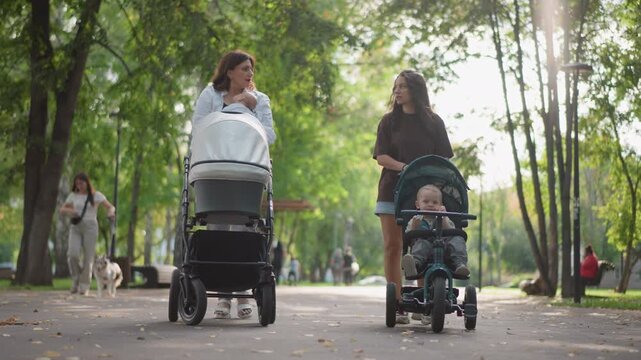 Two women walking side by side with stroller and toddler tricycle on treelined path, morning light and casual chat, relaxed neighborhood lifestyle routine, distant passerby and dog, gentle urban pace.