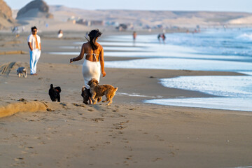 Couple enjoying beach walk with pets at sunset