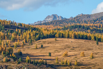 Landscape of the Altai Mountains in Siberia, Altai Republic, Russia