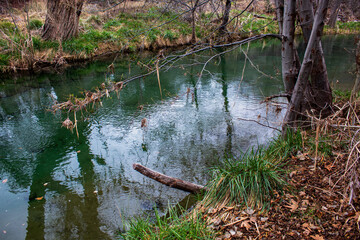 Fossil Creek Clear Waters