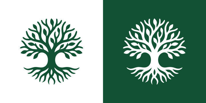 Elegant Tree of Life Logo Design with Roots and Branches.