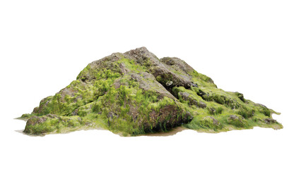 3d rendering mossy beach boulder © santiago