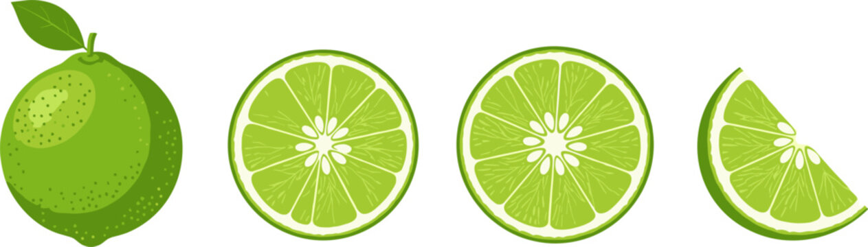 Lime Icon Set Featuring Whole Lime, Lime Slice Cross Sections and Lime Wedge for Fresh Citrus Design and Healthy Food Illustration