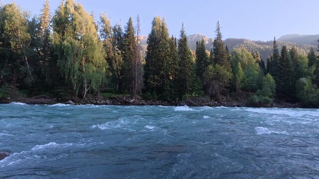 Koksu River flowing through a scenic mountain valley in Kazakhstan under bright blue sky with soft clouds. Turquoise water, rocky banks and dense green forest create a pristine natural landscape of Ce