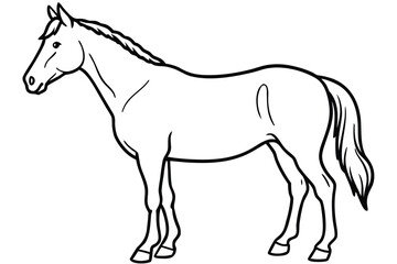 Fototapeta premium Horse, Equine Outline