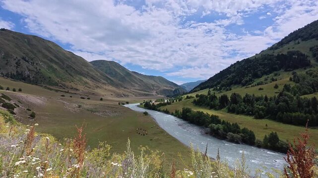 Koksu River flowing through a scenic mountain valley in Kazakhstan under bright blue sky with soft clouds. Turquoise water, rocky banks and dense green forest create a pristine natural landscape of Ce