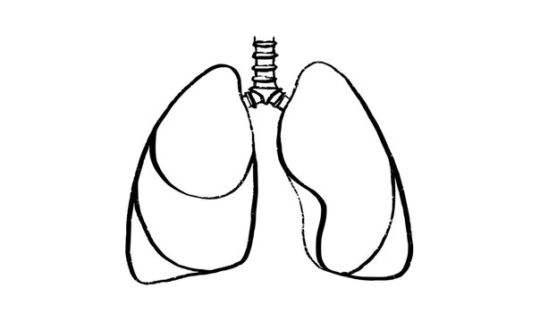 Lungs Sketch Poster