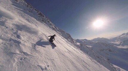 Snowboarder gliding down a snowy slope