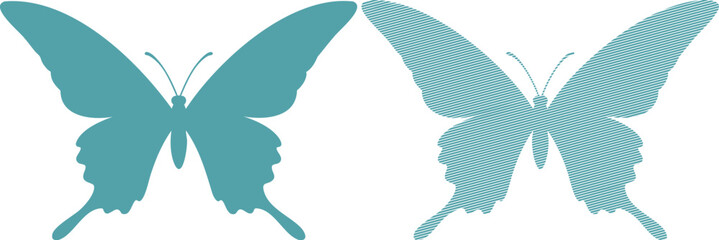 Two Teal Butterflies One Solid One Striped butterfly 2 © Shabuj