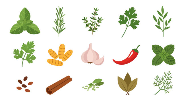 Fresh herbs and spices on white