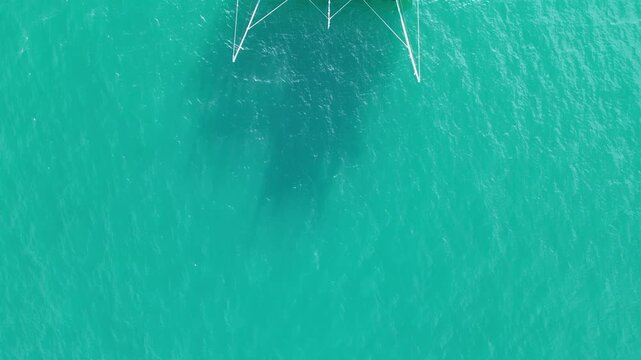 태국 파타야 바다에서 1박 2일 밤샘 낚시를 즐기는 전문적인 선상 낚시 보트와 푸른 해양 풍경
