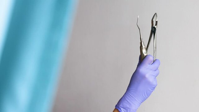 Extreme close up of dentist holding extraction forceps and stainless steel root tip elevator. Surgical instruments prepared for tooth removal procedure highlighting precision control 