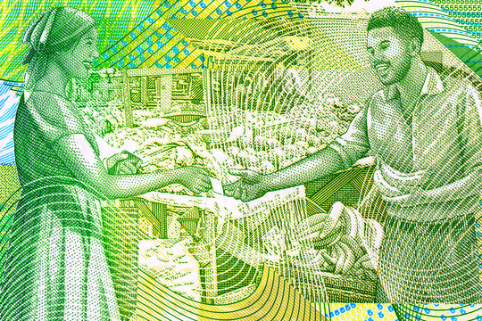 Local Market Scene Detail on Trinidad and Tobago 5 Dollar Banknote. Plastic money Trinidad and Tobago.