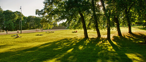 Oslo, Norway. Beautiful gardens and vegetation in summer season © jovannig