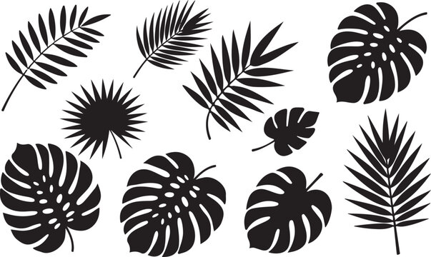 A collection of various tropical leaves on a white background
