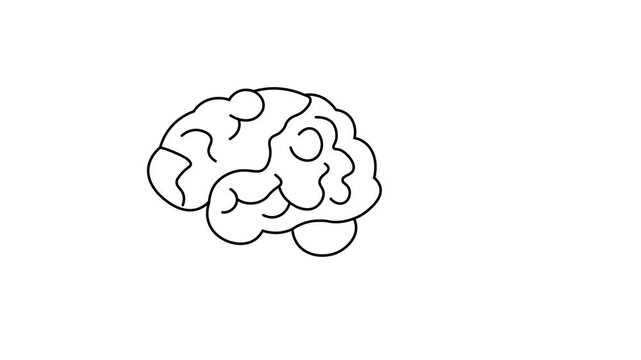 an icon animation with a human organ object, namely the brain, moving up and down